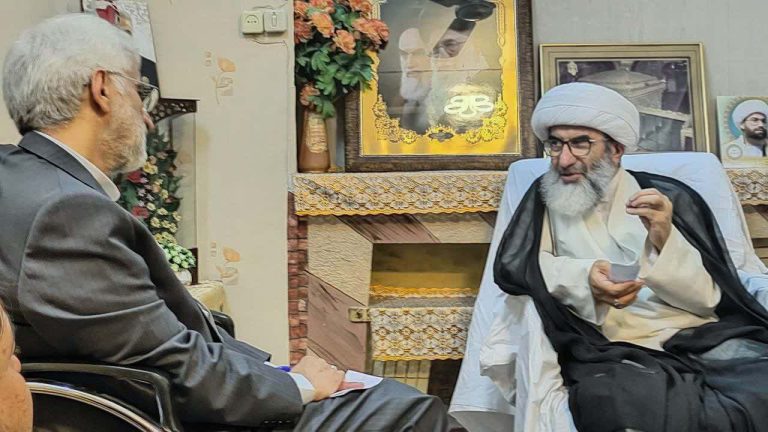دیدار جلیلی با آیت الله سیفی مازندرانی